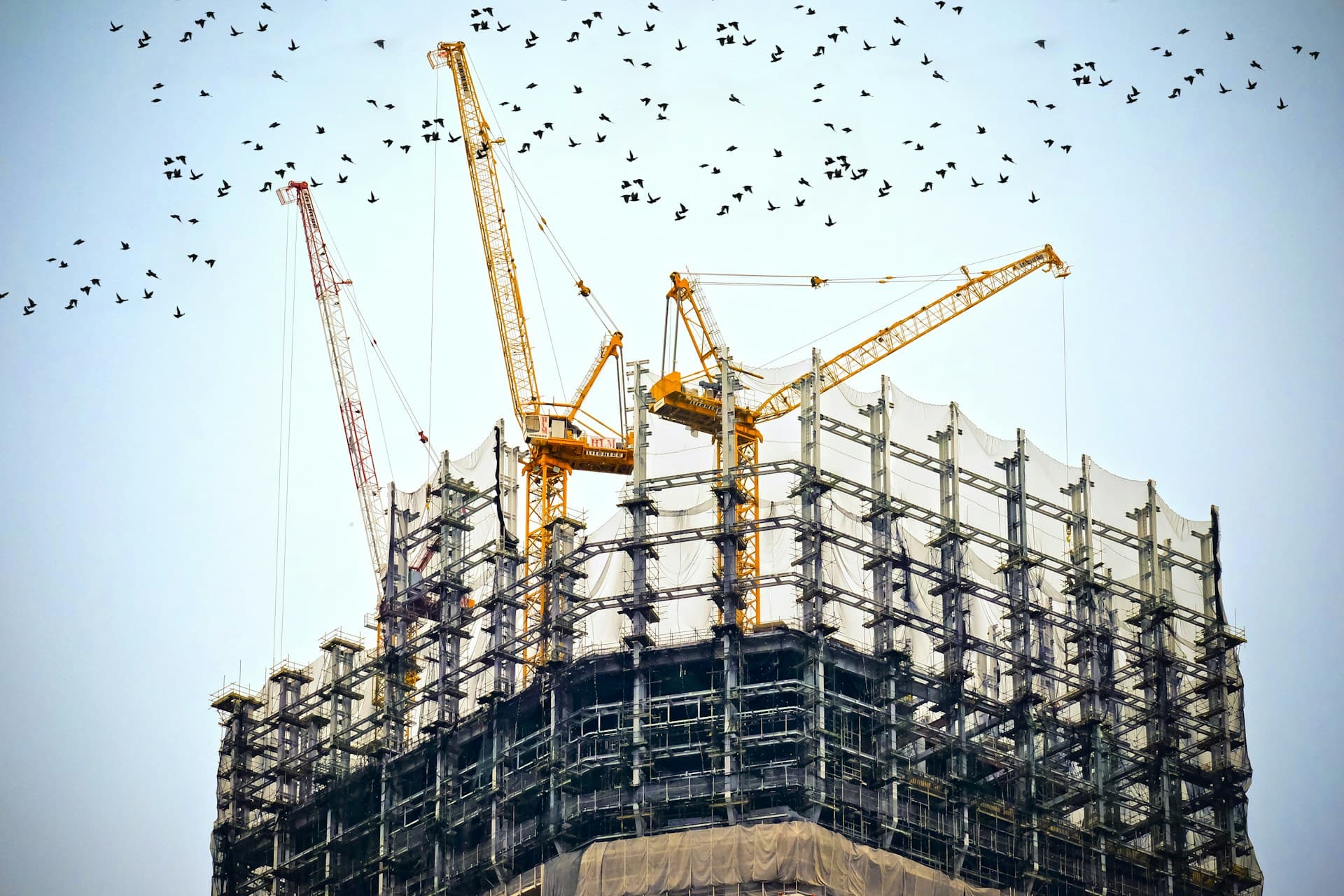 Illustrative construction site with tower cranes